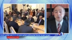 رضا تقی زاده، تحلیلگر مسایل ایران