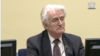 Radovan Karadžić za vrijeme statusne konferencije, 10. oktobar 2017.