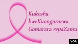 Kuongororwa gomarara repazamu kumonzi kwakakosha zvikuru kune vanhurume neva