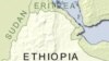 Former Top Ethiopian Officials Join Jailed Opposition Leader's Party