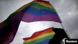 Une femme tient le drapeau LGBT lors d'une protestation en Arkansas, le 26 avril 2015. 