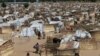 Huit civils et cinq soldats tués lors de nouvelles attaques de Boko Haram au Nigeria