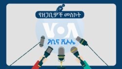 በበጎ ፈቃድ አገልግሎት የተሰማሩ የወሎ ወጣቶች