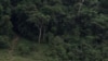 La Norvège va payer le Gabon pour ne pas déforester: "une récompense"