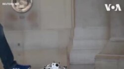 Le robot à quatre pattes du MIT