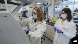Gjatë kërkimeve në laboratorët amerikanë për antitrupat kundër COVID-it
