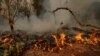 Health Issues Abound as Wildfire Smoke Hits Millions in US 
