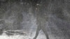 16x9 Image