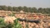 Qatar Farm Makes Compost Soil to Grow Crops