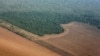 Brazilian Landless Peasants Invade Farm Owned by Minister's Family