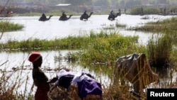 Warga Nigeria menyeberang Danau Chad, Ngouboua, 19 Januari 2015 (Foto: dok). Sekitar 14 ribu warga Nigeria mengingsi ke Chad, untuk menghindari kekerasan militan Boko Haram.