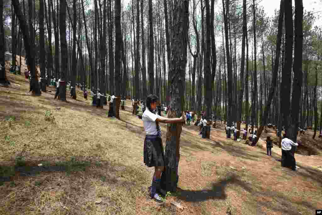 Para pelajar Nepal memeluk pohon dalam acara &#39;Memeluk Pohon Massal&#39; pada Hari Lingkungan Hidup sedunia di pinggiran ibukota Katmandu.
