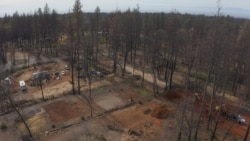 The debris of burned homes and trees has been removed, leaving empty lots in a neighborhood in Paradise that was devastated by the Camp Fire. (Elizabeth Lee/VOA)