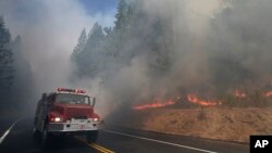 Pemadam kebakaran terus berupaya memadamkan kebakaran hutan terbesar di Taman Nasional Yosemite, California, 26 Agustus 2013.