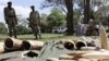 Kenya Authorities Probing Illegal Shipments of Elephant Tusks