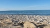 16x9 Image