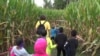 Farmers Diversify Businesses to Attract Tourists