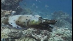 Scientists Look to Space to Map Ocean Floor