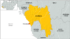 Guinea's Electoral Commission Chief Resigns