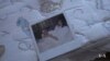 WATCH: Study Finds Child Marriages Happening in US