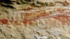 A complete specimen of Chengjiangocaris kunmingensis from the early Cambrian Xiaoshiba biota of South China. (Photo courtesy of Jie Yang)