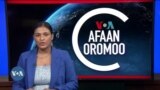 Tamsaasa Guyaadhaa Guyyaa