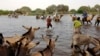 Cameroon Navy Hunts Boko Haram in Lake Chad