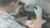 HIV Vaccine Study Cancelled