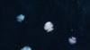 16x9 Image