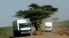 Africa Still Suffers High Food Crop Losses