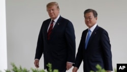 도널드 트럼프 미국 대통령과 문재인 한국 대통령이 11일 백악관 집무실로 이동하기 위해 함께 걷고 있다.