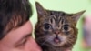 Saudi Cleric: Selfies with Cats ‘Prohibited’