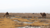 16x9 Image