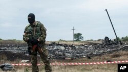 乌克兰东部亲俄民兵在马航班机坠毁现场站岗