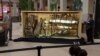Museum of Natural History Provides Glimpse of New Dinosaur Display