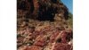 Marble Bar sediments, a microcrystalline silicone-rich chert. Photo: A. Glikson